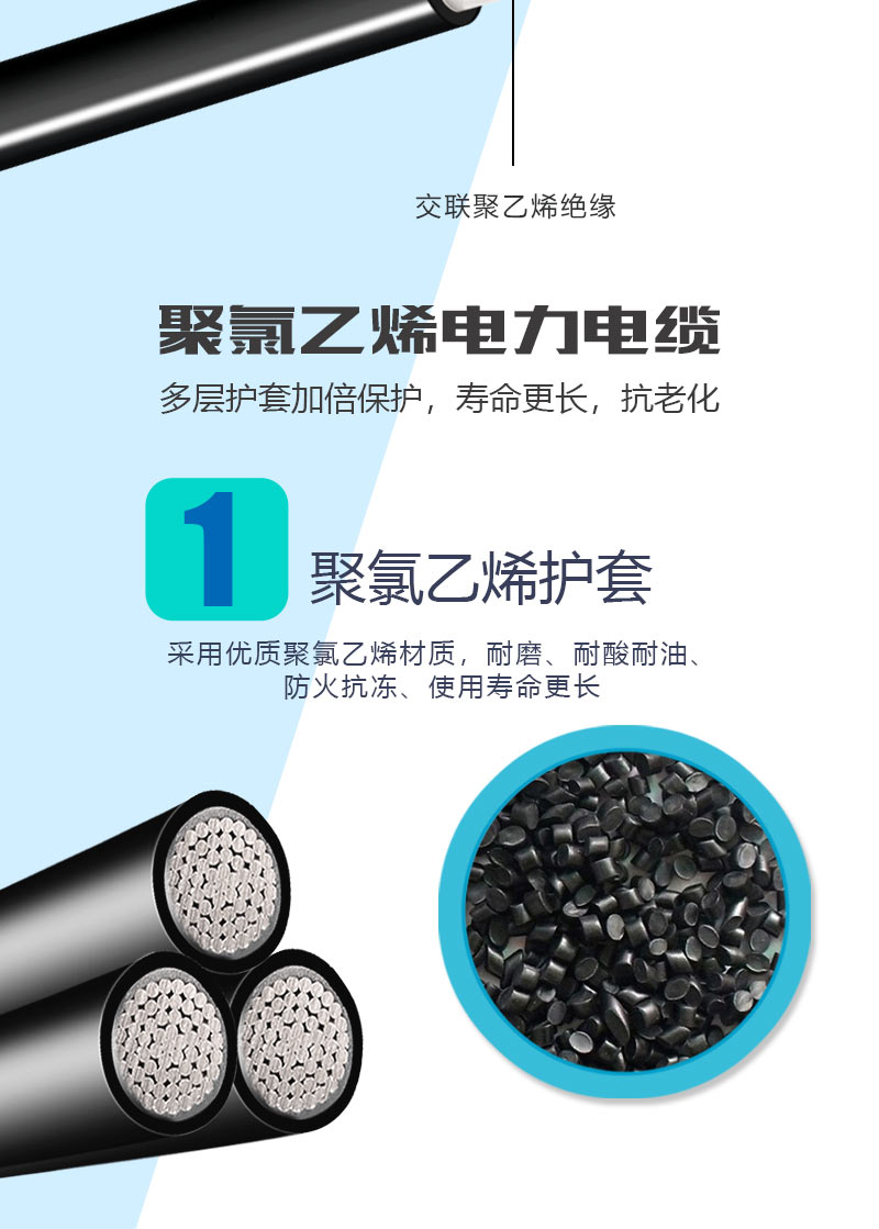 248cc�������Ź���