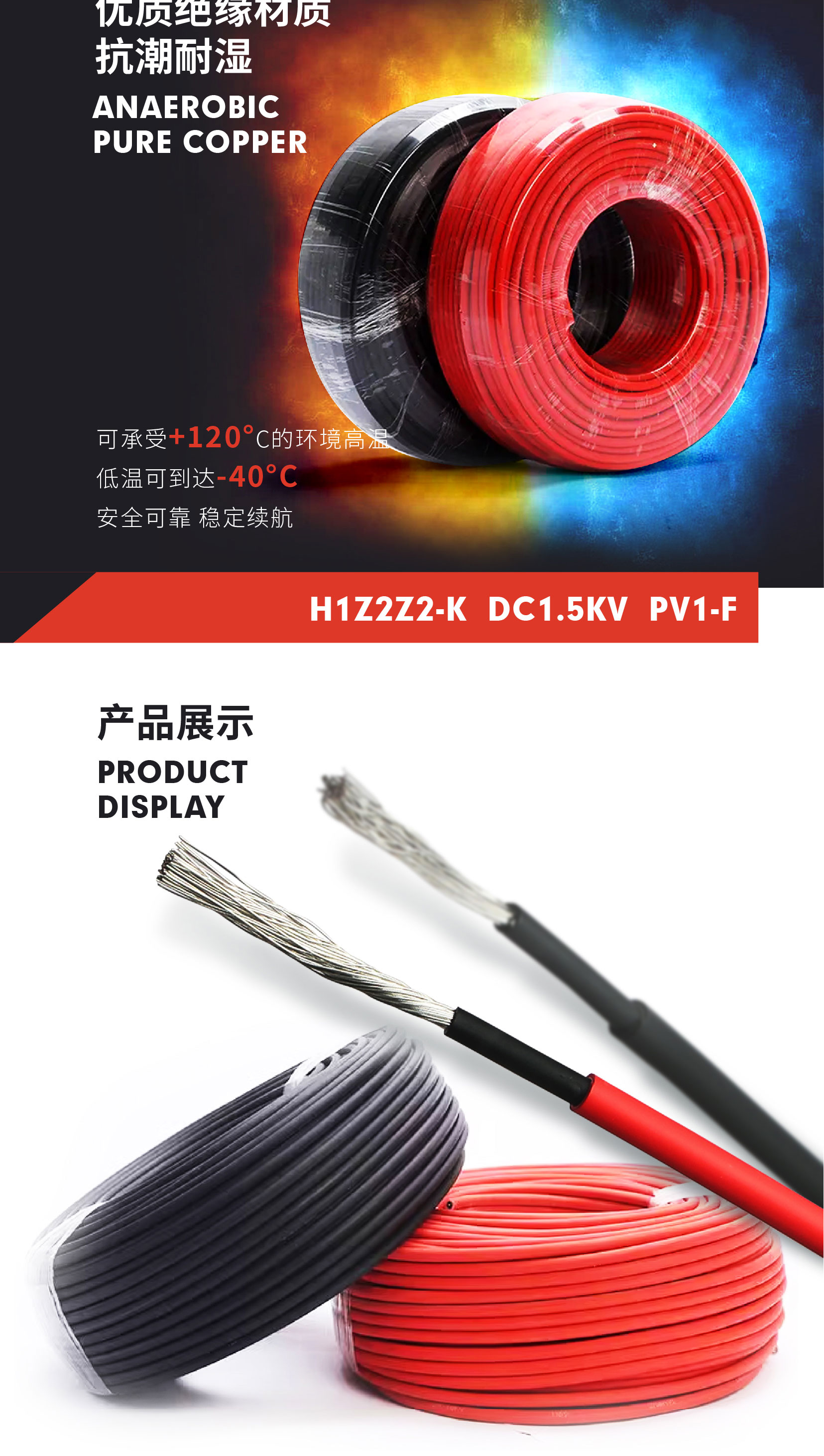 248cc�������Ź���