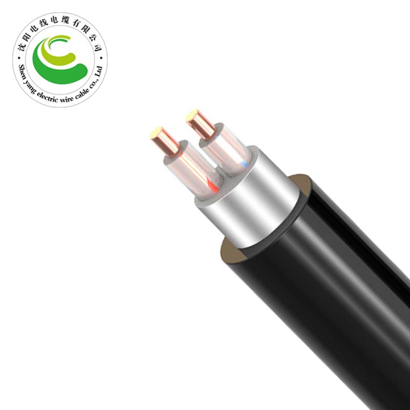 2о��������  ZR-VV22  2*1.5mm?--2*50mm? ͭо���� ��ȼͭо����ϩ��Ե������ϩ���׸ִ���װ��������