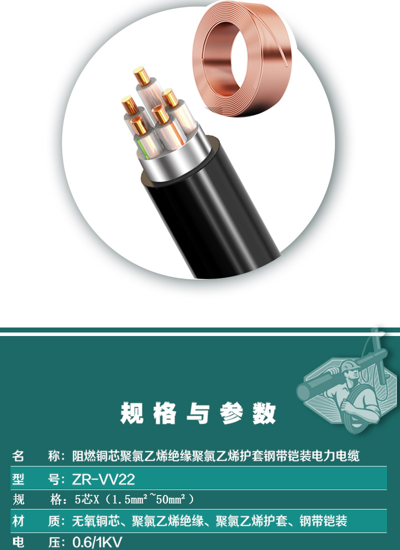 248cc�������Ź���