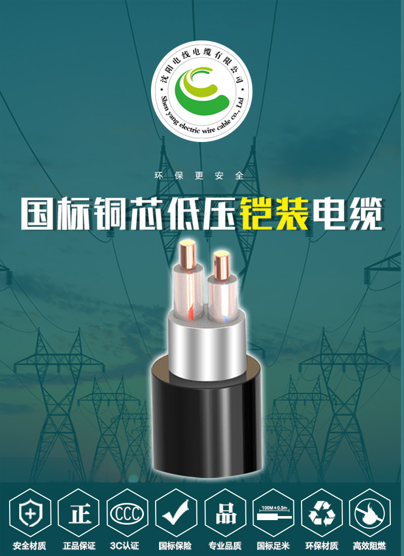 248cc�������Ź���