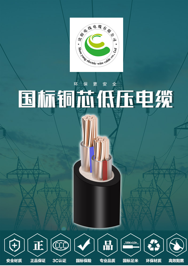 248cc�������Ź���