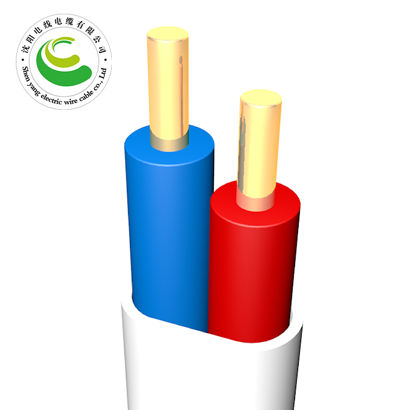 2о  ZR-BVVB  2*1.0mm?--2*10mm?  ͭо���� ��ȼͭо����ϩ��Ե������ϩ��