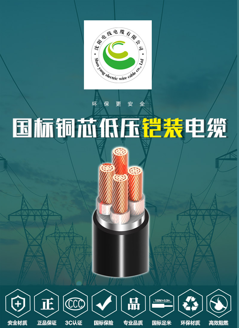 248cc�������Ź���