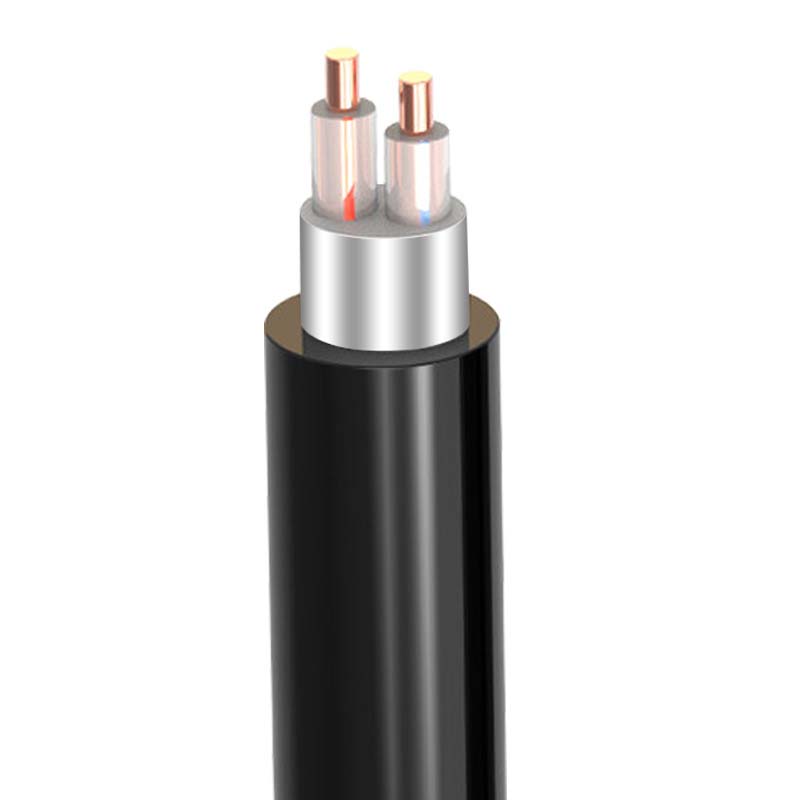 2о��������  ZR-VV22  2*1.5mm?--2*50mm? ͭо���� ��ȼͭо����ϩ��Ե������ϩ���׸ִ���װ��������