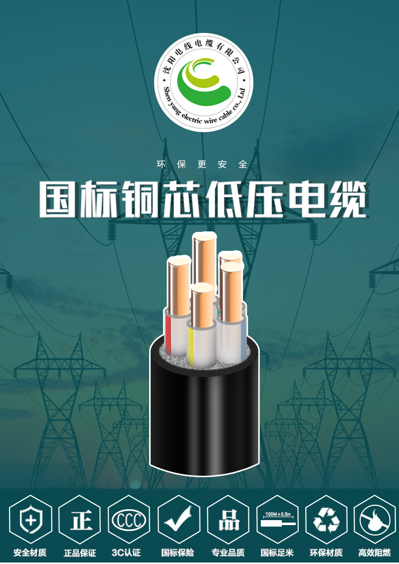 248cc�������Ź���