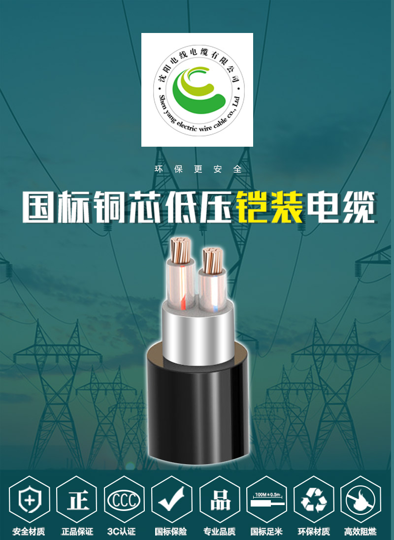 248cc�������Ź���