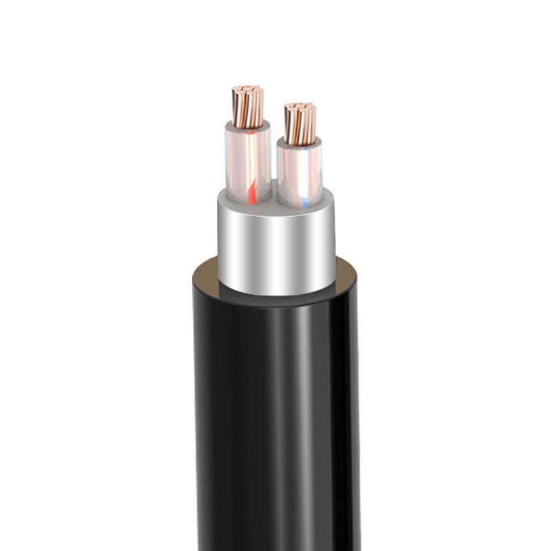 2о�������  ZR-VV22  2*1.5mm?--2*50mm? ͭо���� ��ȼͭо����ϩ��Ե������ϩ���׸ִ���װ��������