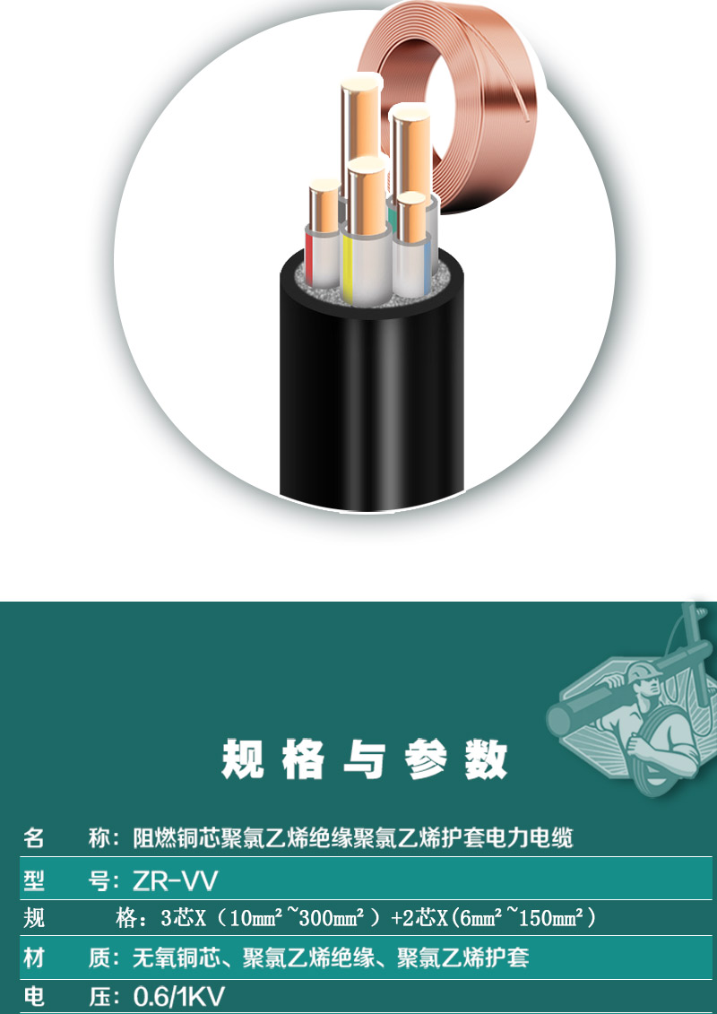 248cc�������Ź���