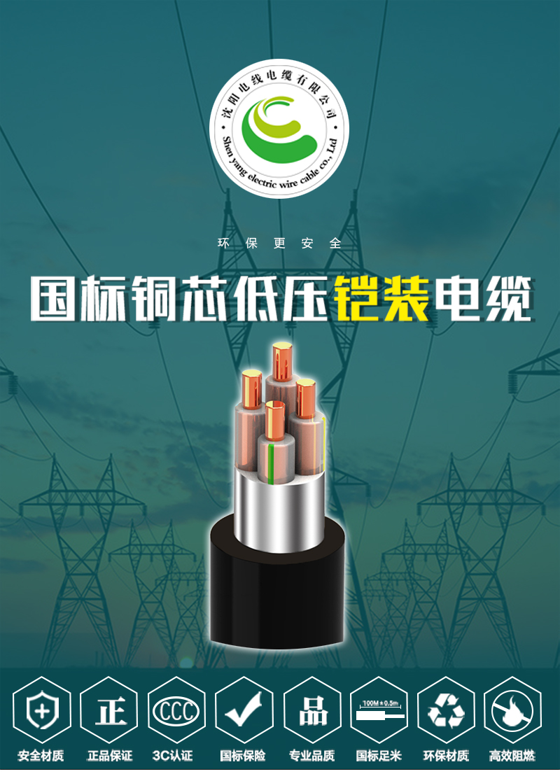 248cc�������Ź���