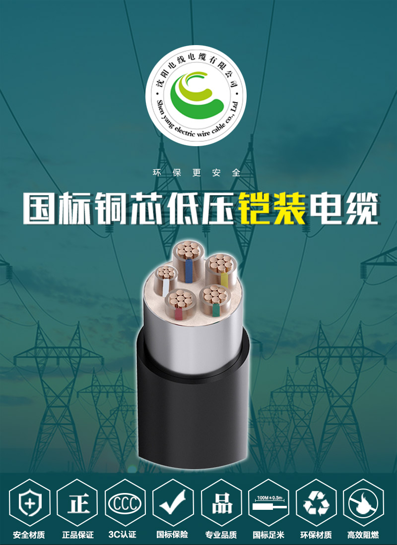 248cc�������Ź���