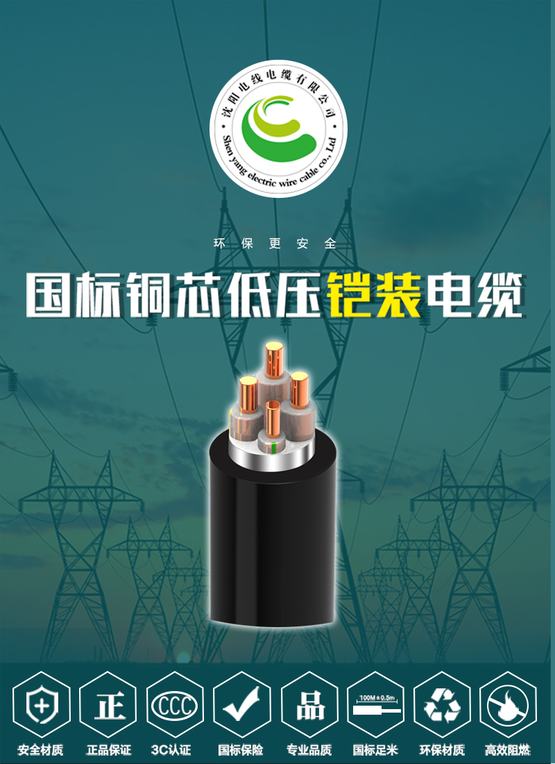 248cc�������Ź���