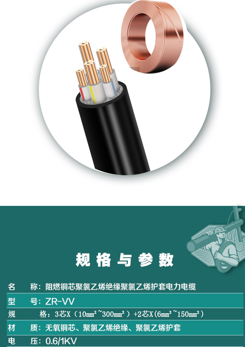 248cc�������Ź���