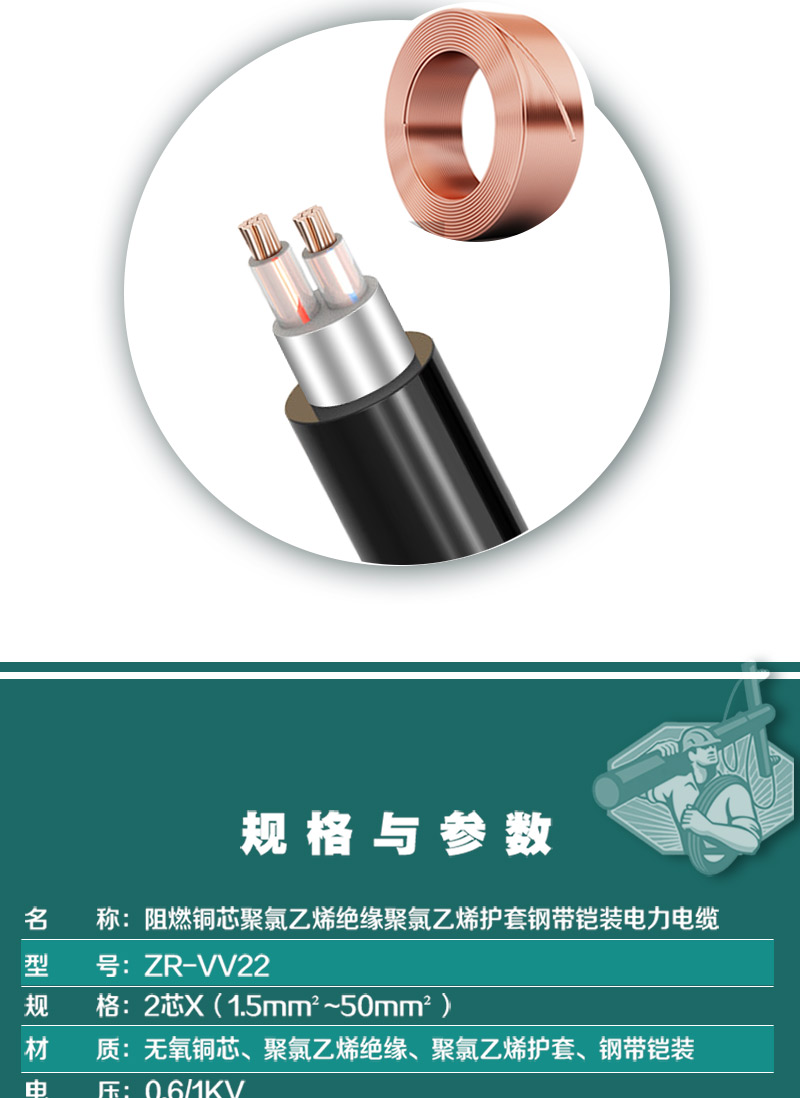 248cc�������Ź���