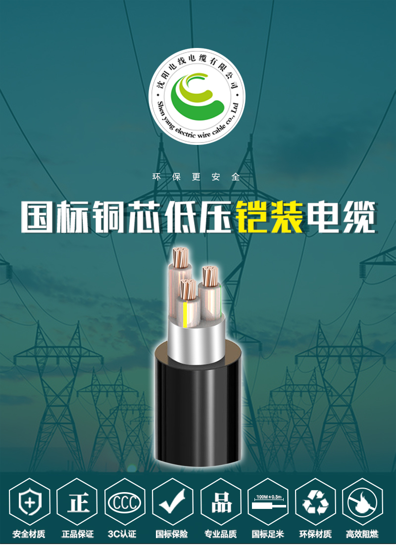 248cc�������Ź���