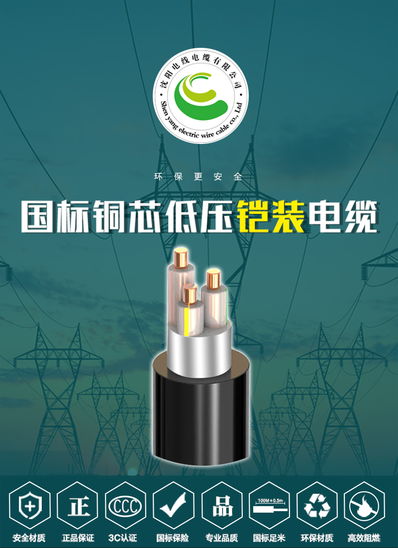 248cc�������Ź���