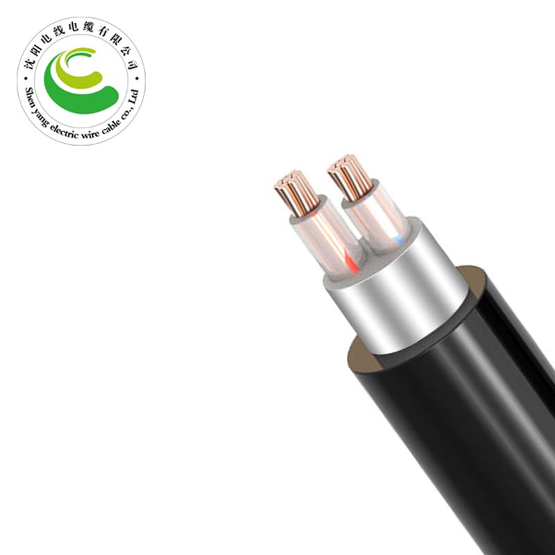 2о�������  ZR-VV22  2*1.5mm?--2*50mm? ͭо���� ��ȼͭо����ϩ��Ե������ϩ���׸ִ���װ��������