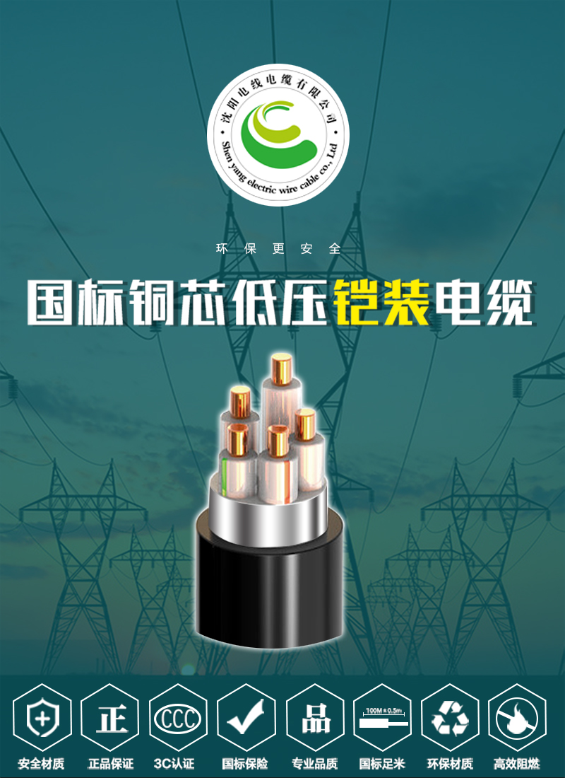 248cc�������Ź���