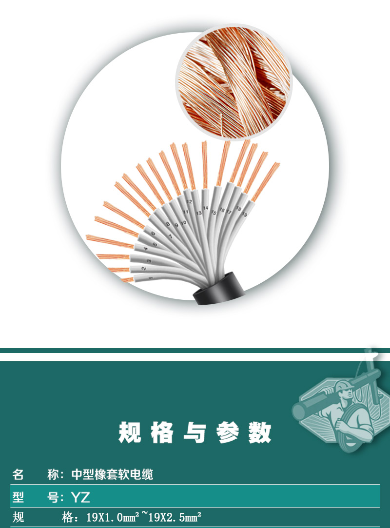 248cc�������Ź���