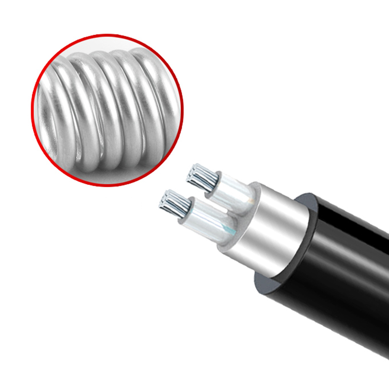 2о  ZR-YJLV22  2*10mm?--2*35mm? ��о��������ϩ��Ե������ϩ������װ�������� ��о��������