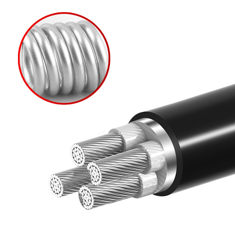 ZR-YJLV22  4*10mm?--4*400mm? ��о��������ϩ��Ե������ϩ������װ�������� ��о��������