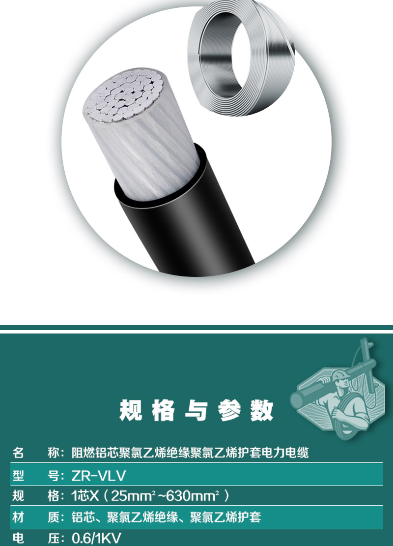 248cc�������Ź���