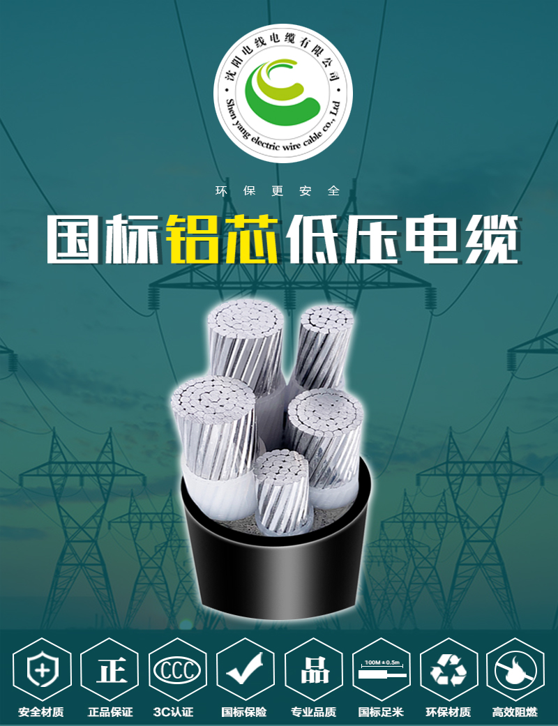 248cc�������Ź���