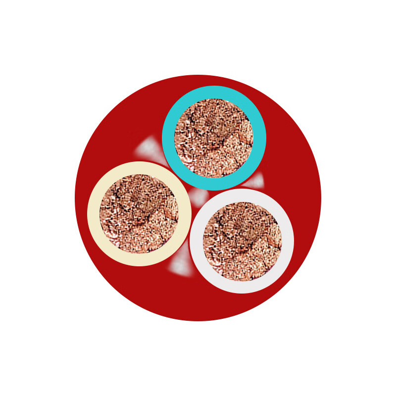 YZW-450/750V-3*2.5mm?-���ʷ�����ͭо������-95��/��