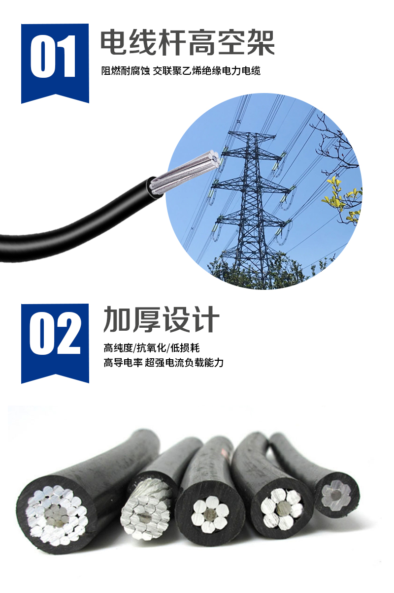 248cc�������Ź���