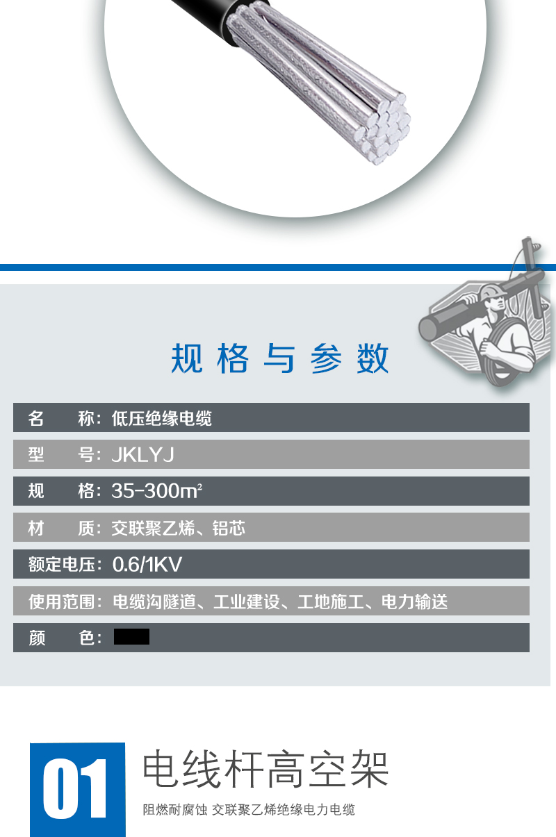 248cc�������Ź���