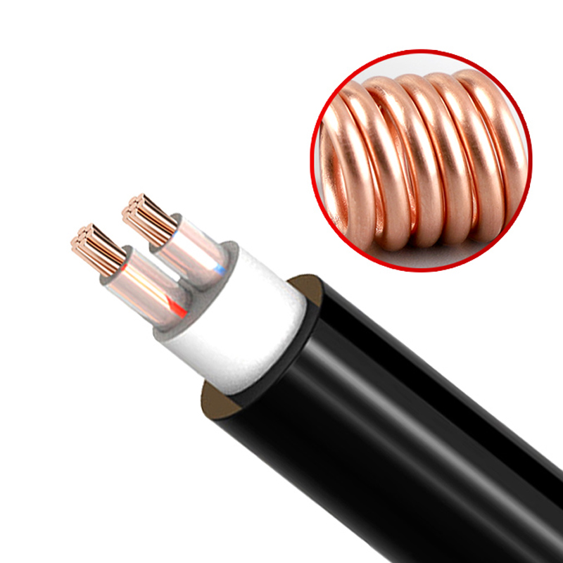 2о  ZR-YJV  2*1.5mm?--2*50mm? ͭо���� ��������ϩ��Ե������ϩ���׵�������