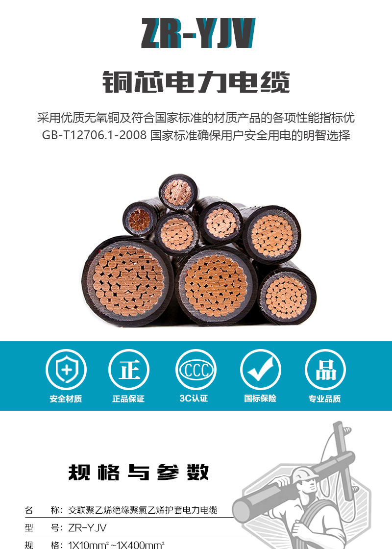 248cc�������Ź���