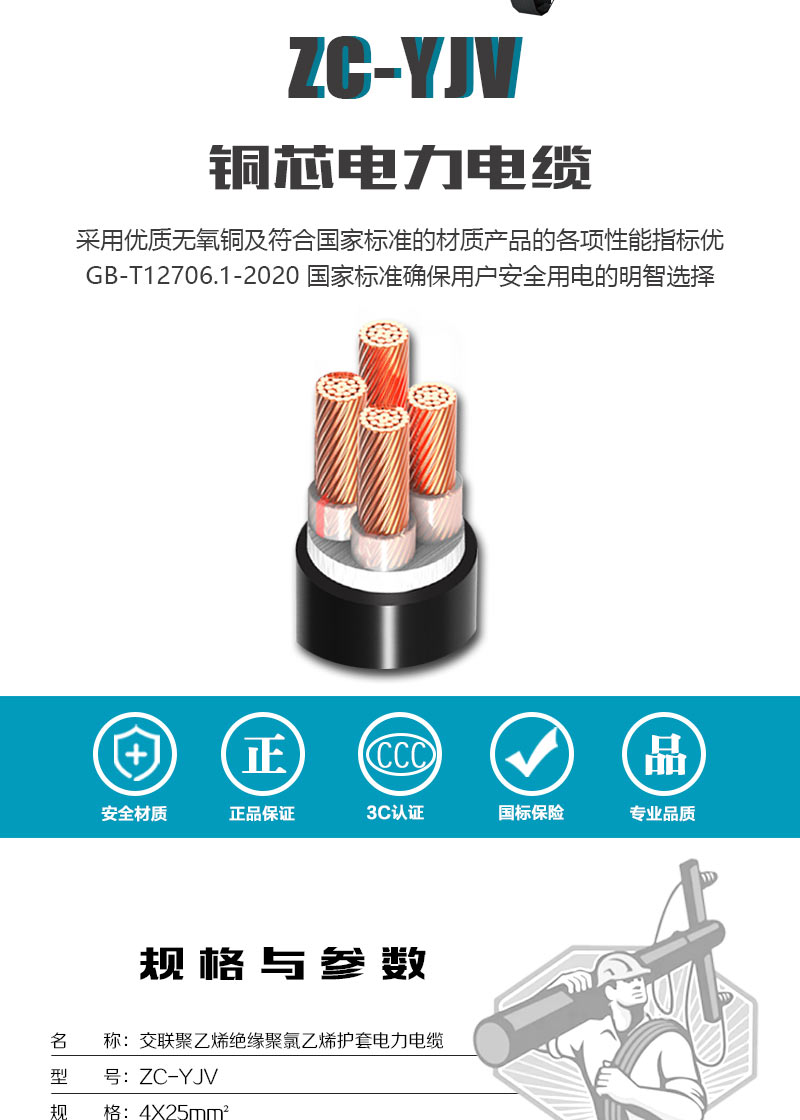 248cc�������Ź���