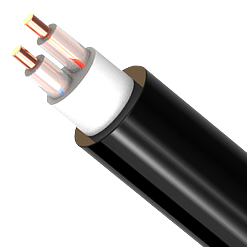 2о�������� ZR-YJV 2*1.5mm?--2*50mm? ��������ϩ��Ե������ϩ���׵�������  ͭо��������