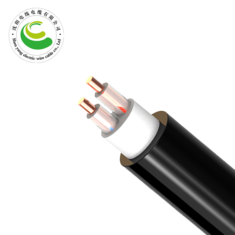 2о�������� ZR-YJV 2*1.5mm?--2*50mm? ��������ϩ��Ե������ϩ���׵�������  ͭо��������