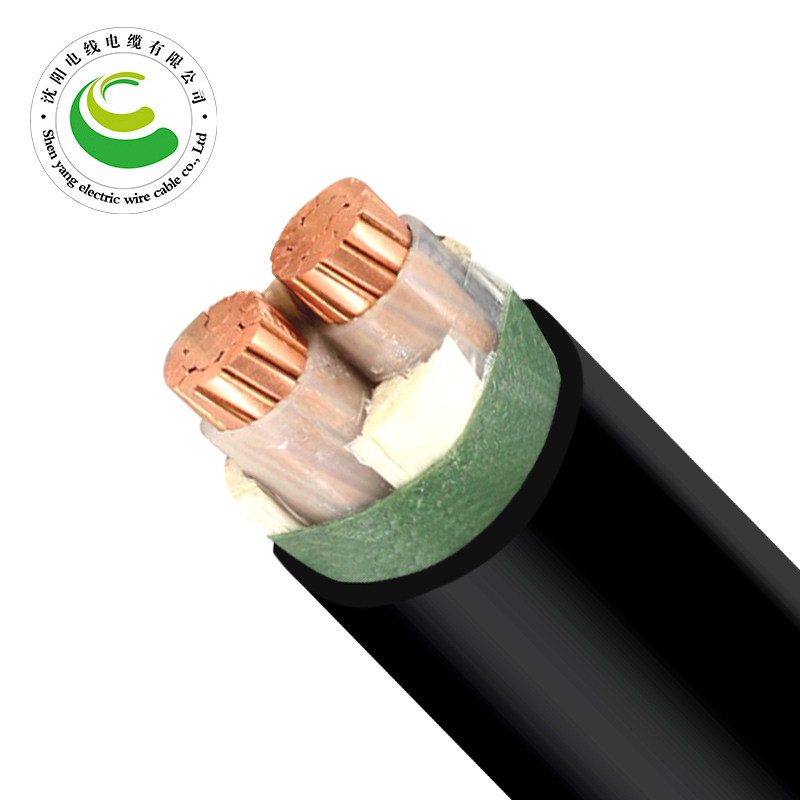 2о(���) ZR-YJV 2*1.5mm?--2*50mm? ��������ϩ��Ե������ϩ���׵�������  ͭо��������