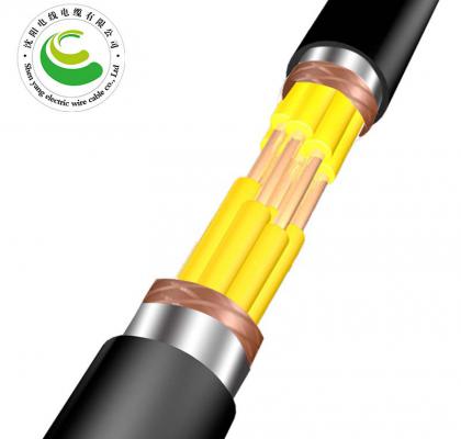 37о  ZR-KVVP22  2--30о*�� 1.5--2.5mm?��  ��ȼͭо������ϩ��Ե����ϩ���׸ִ���װ����