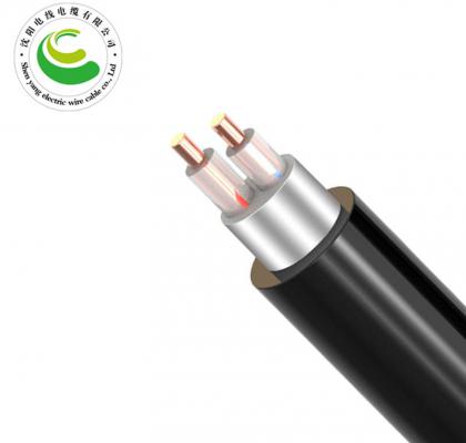 2о��������  ZR-VV22  2*1.5mm?--2*50mm? ͭо���� ��ȼͭо����ϩ��Ե������ϩ���׸ִ���װ��������