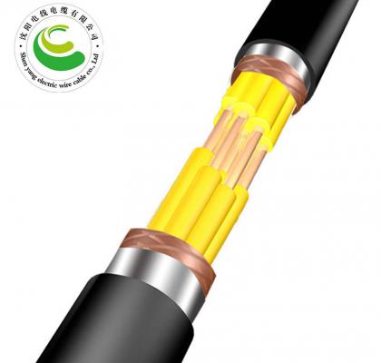 24о  ZR-KVVP22  2--30о*�� 1.5--2.5mm?��  ��ȼͭо������ϩ��Ե����ϩ���׸ִ���װ����