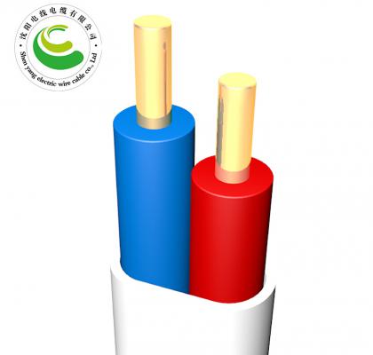 2о  ZR-BVVB  2*1.0mm?--2*10mm?  ͭо���� ��ȼͭо����ϩ��Ե������ϩ��