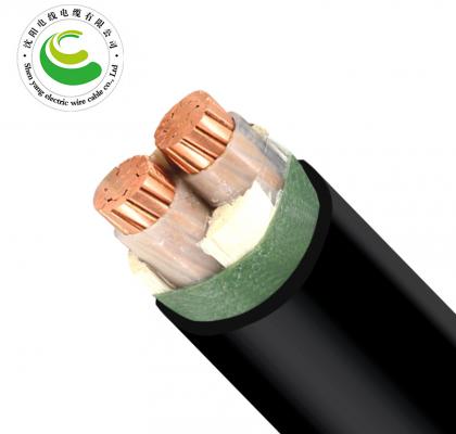 2о����о��  ZR-YJV  2*1.5mm?--2*50mm? ͭо���� ��������ϩ��Ե������ϩ���׵�������