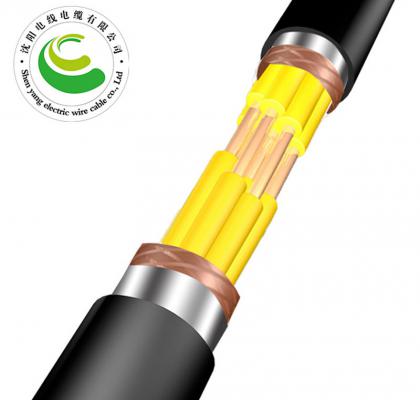 20о  ZR-KVVP22  2--30о*�� 1.5--2.5mm?��  ��ȼͭо������ϩ��Ե����ϩ���׸ִ���װ����