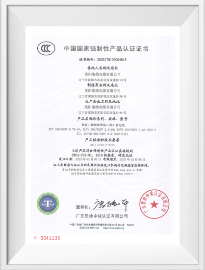 �й�����ǿ���Բ�Ʒ��֤֤�顾BVV��