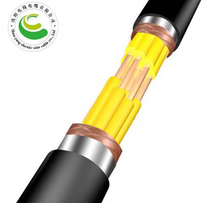 12о  ZR-KVVP22  2--30о*�� 1.5--2.5mm?��  ��ȼͭо������ϩ��Ե����ϩ���׸ִ���װ����